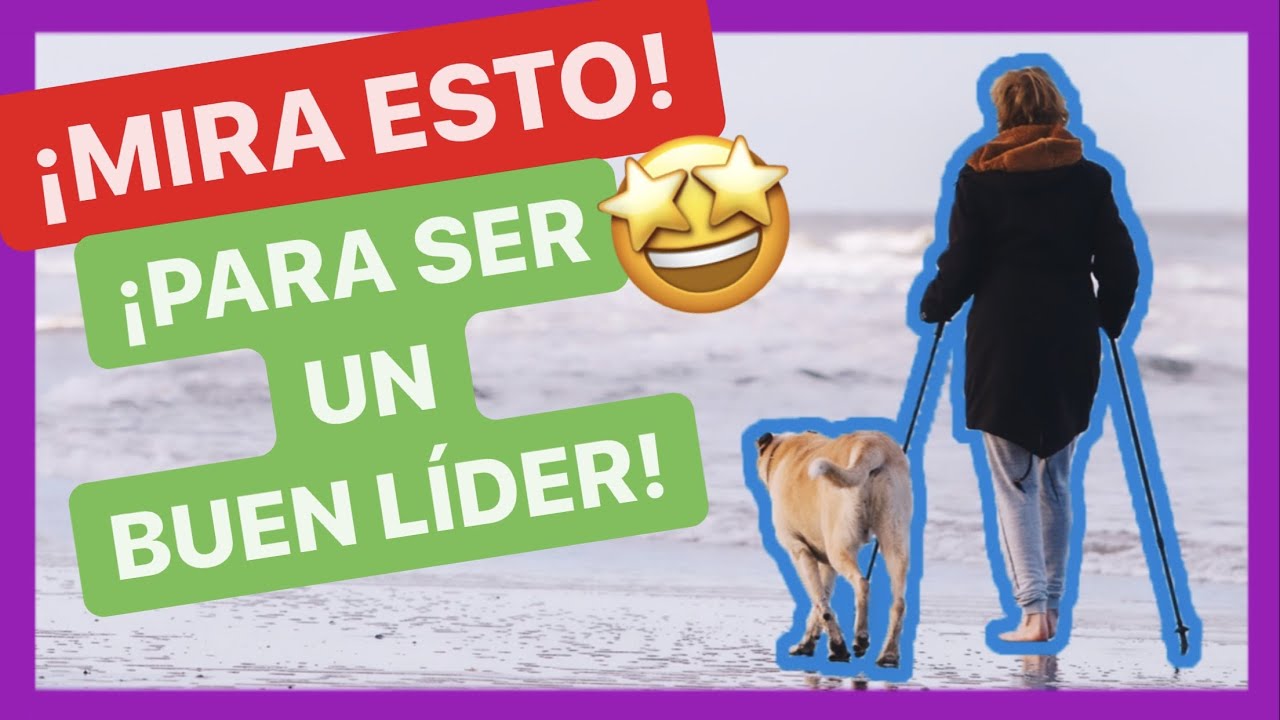 5+1 CONSEJOS para CONVERTIRTE en un BUEN LÍDER para tu PERRO 💚 [FUNCIONA!] 🙌