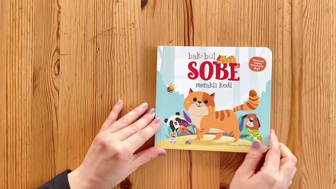 Bak Bul Sobe Meraklı Kedi | Bilmeceli &Ccedil;ocuk Kitabı