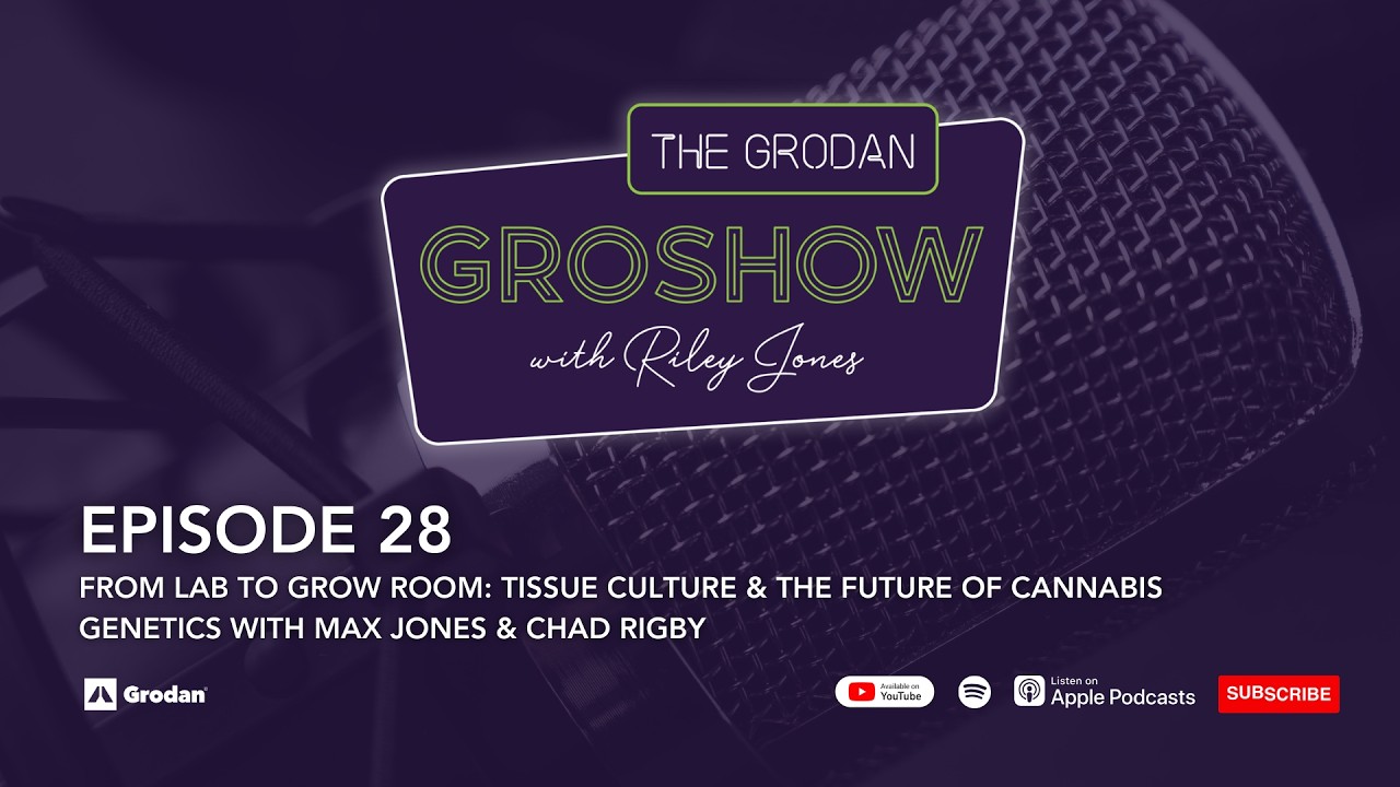 From Lab to Grow Room: Tissue Culture & the Future of Cannabis Genetics with Max Jones | Ep 28