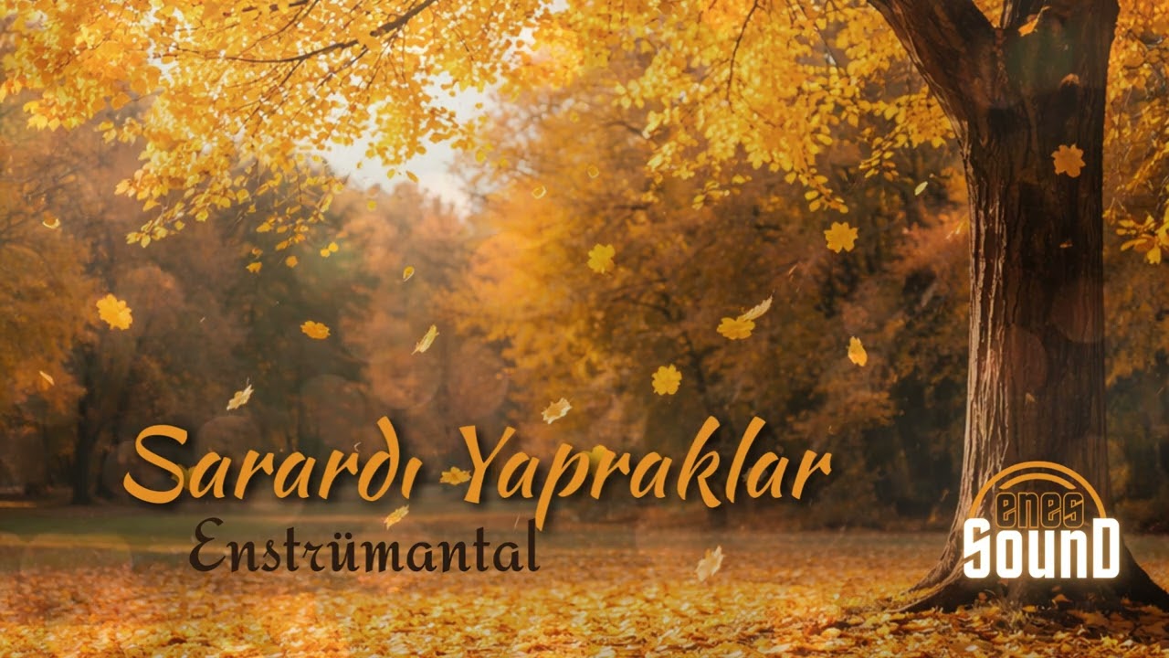 Sarardı Yapraklar ( Enstrümantal ) | Enes Sound