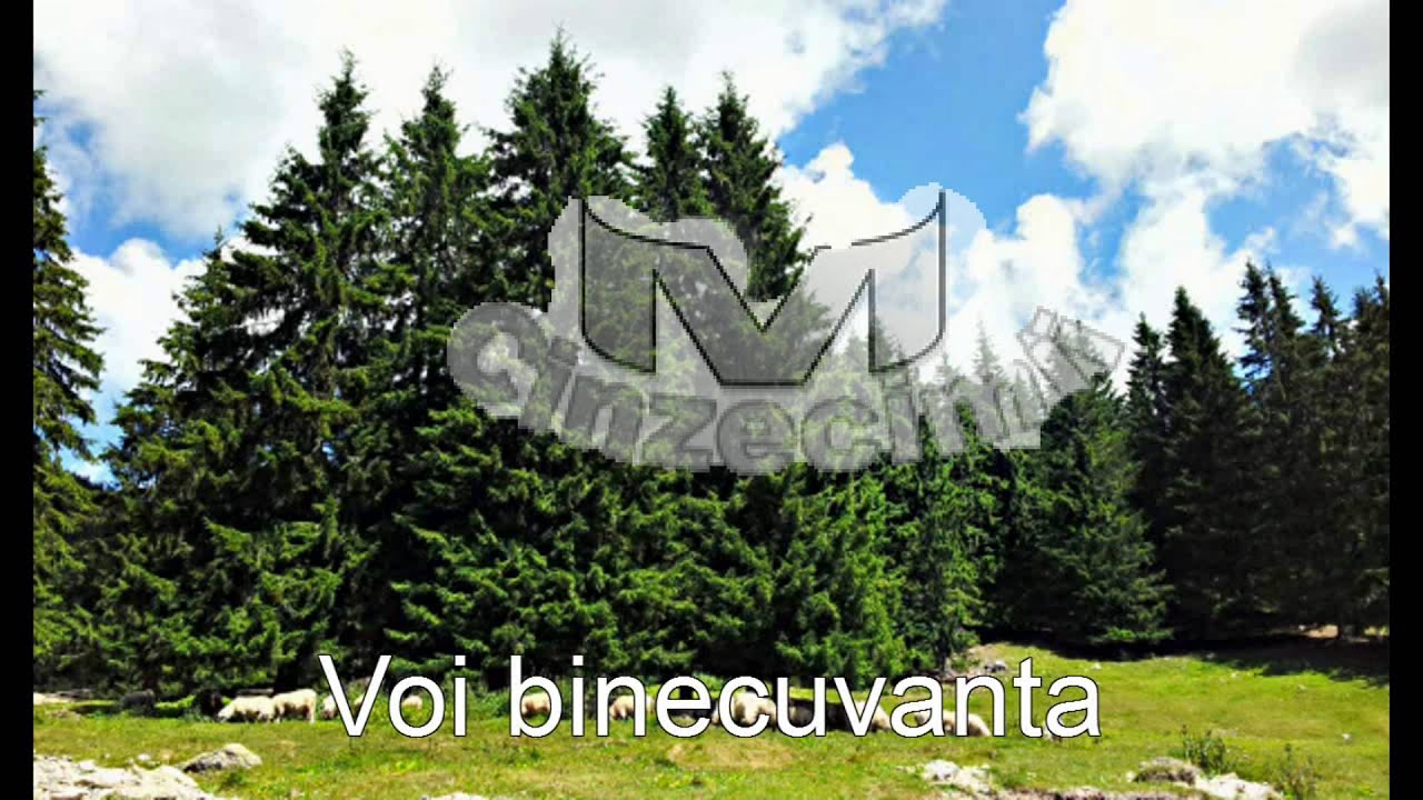 Colaj Corul Barbatesc Voitinel - O ora de muzica crestina