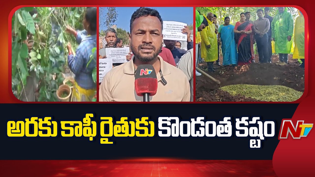 Araku Coffee Farmers: పరిహారం కోసం రోడ్డెక్కిన అరకు కాఫీ రైతులు | NTV Telugu
