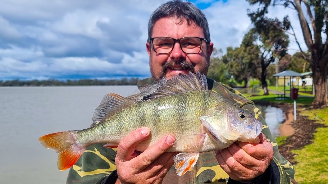 Fishing for massive redfin at Lake Cargelligo