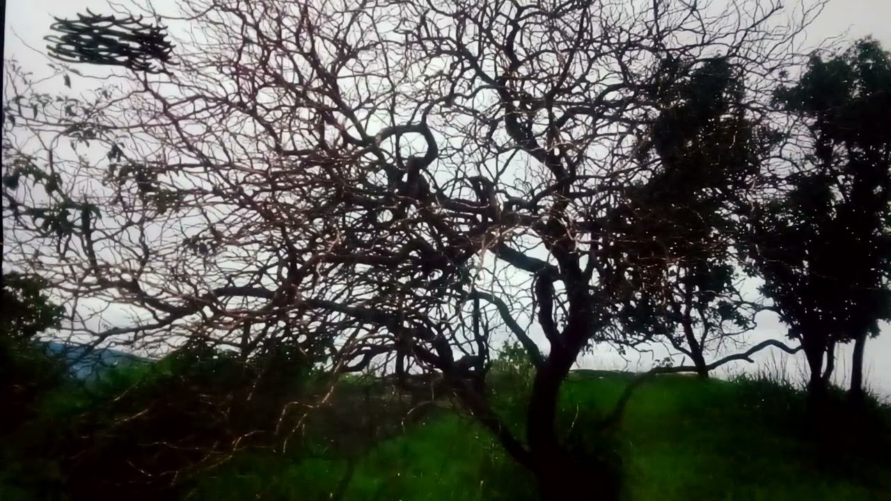 O novo nascimento ação exclusiva do Espírito santo 