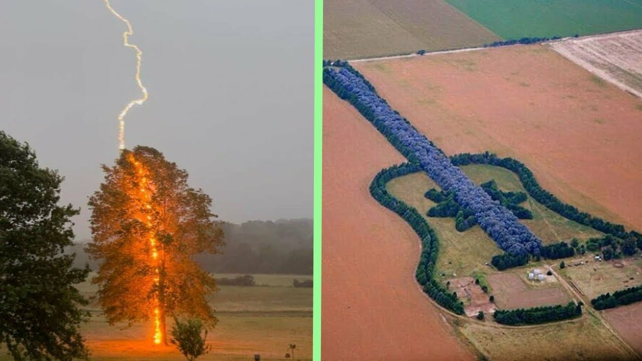 Times People Were So Amazed By Something, They Shared It With Everyone Online 2 | Happy Land