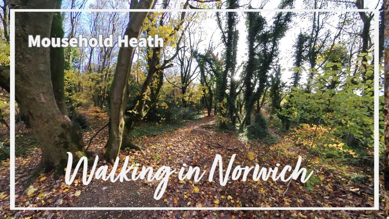 First Mousehold