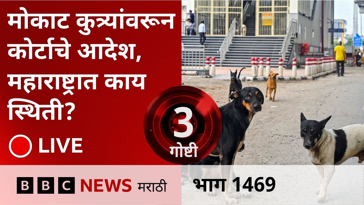LIVE : Stray Dogs Supreme Court Order नंतर राजधानीसह इतरही राज्यात काय परिस्थिती?