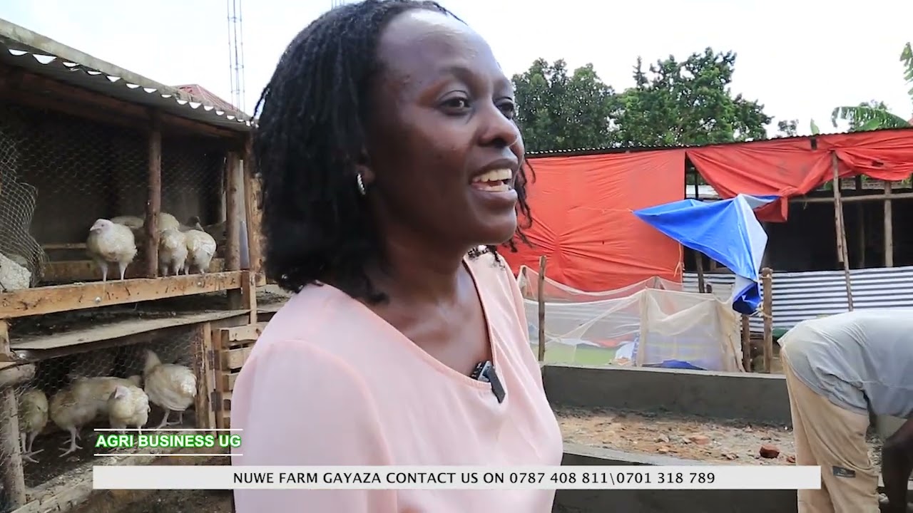 MAKE MONEY AT HOME WITH THIS (TYPE OF MIXED FARMING)