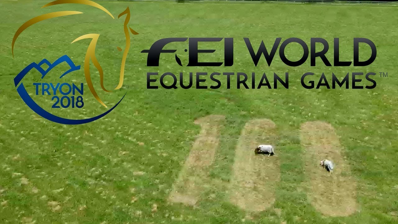 100 days to go! - FEI World Equestrian Games 2018 - Tryon
