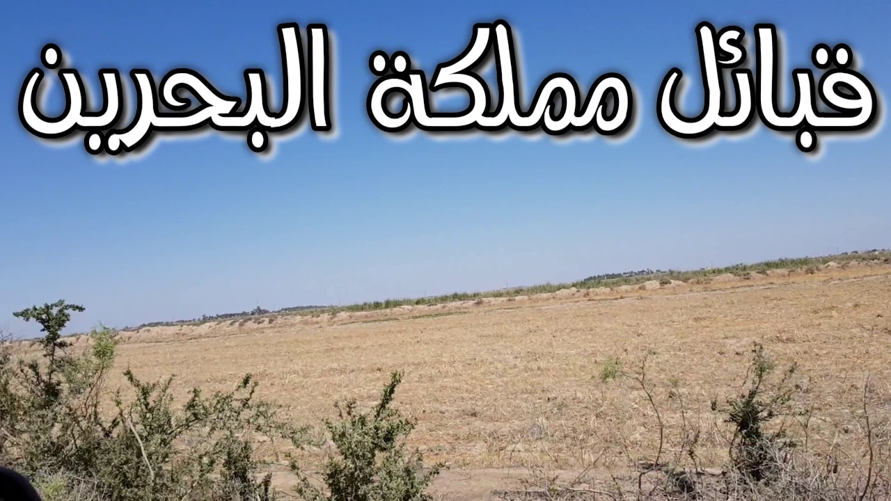 #ماذا تعرف عن قبائل و عوائل مملكة البحرين