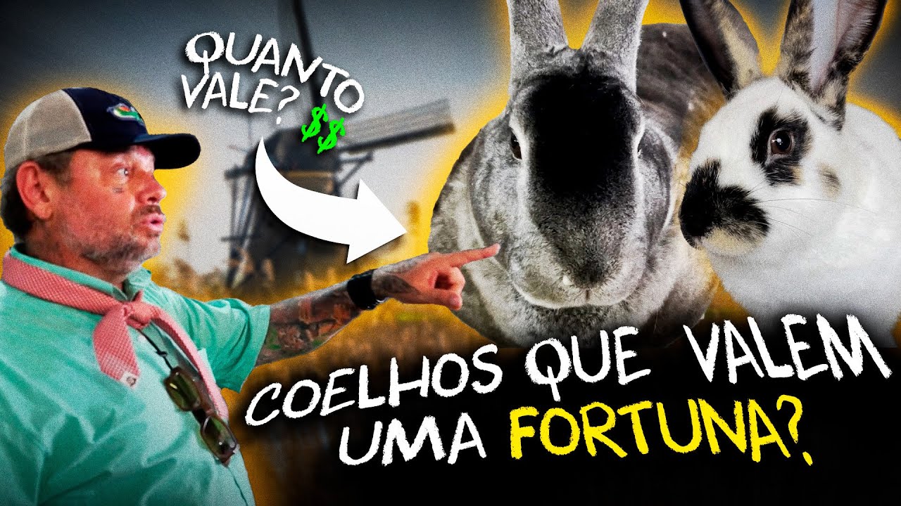 DESCUBRA AS RAÇAS DE COELHOS MAIS RARAS DO MUNDO! | RICHARD RASMUSSEN
