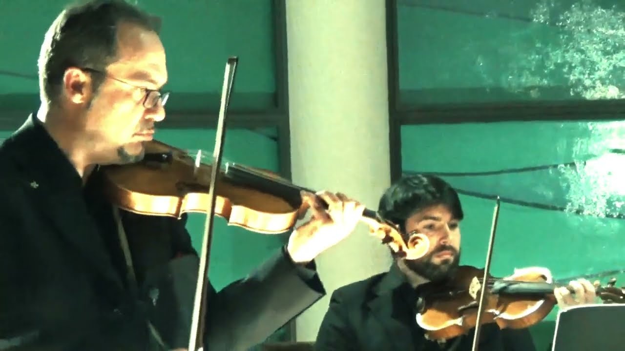 Vivaldi Quattro Stagioni Primavera Estate Selection Domenico Pierini Solista & Concertatore Live FDH