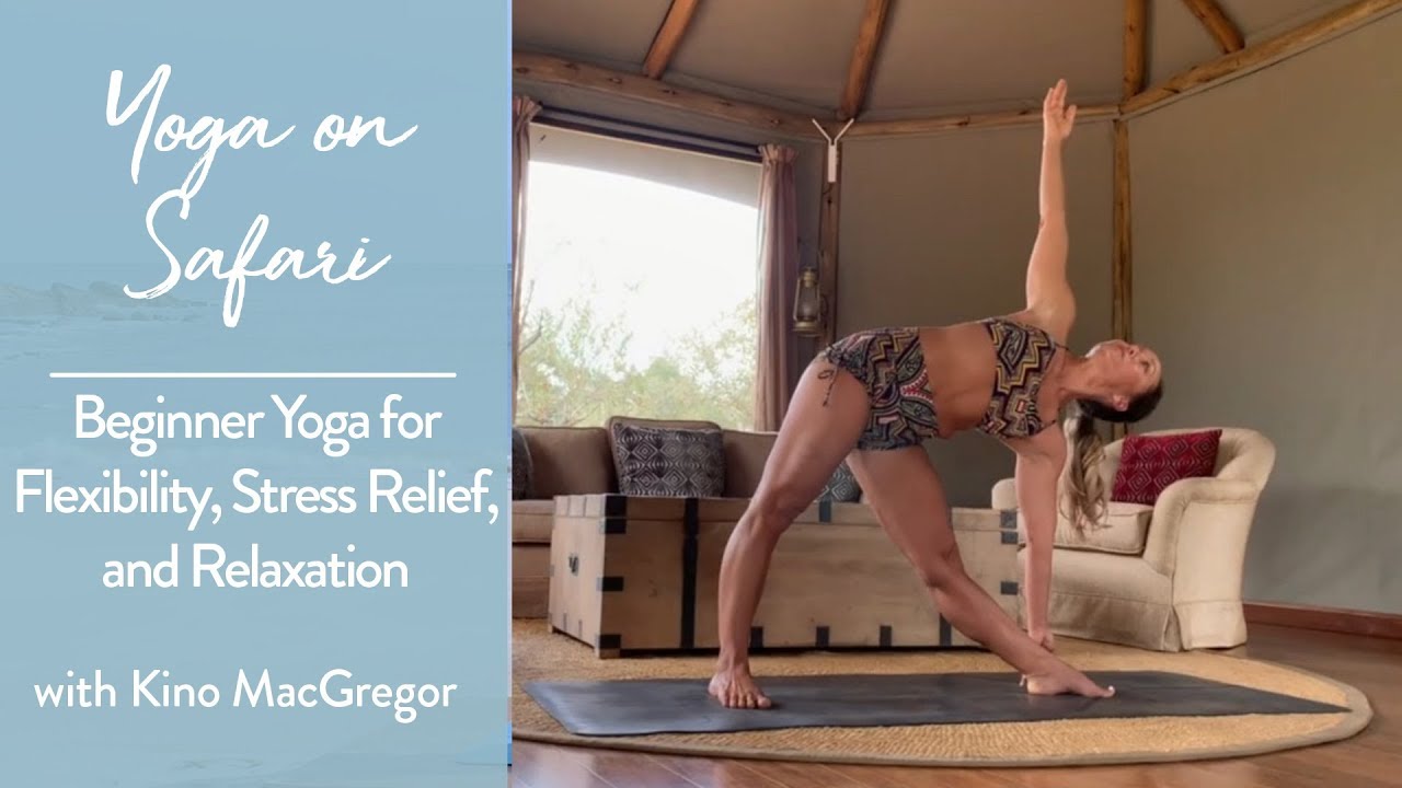 Yoga on Safari- Beginner Yoga for Flexibility, Stress Relief, and Relaxation
