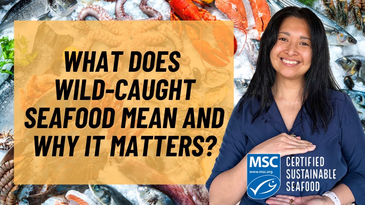 What is Wild Caught Seafood and Why it Matters? | Happy Earth Month