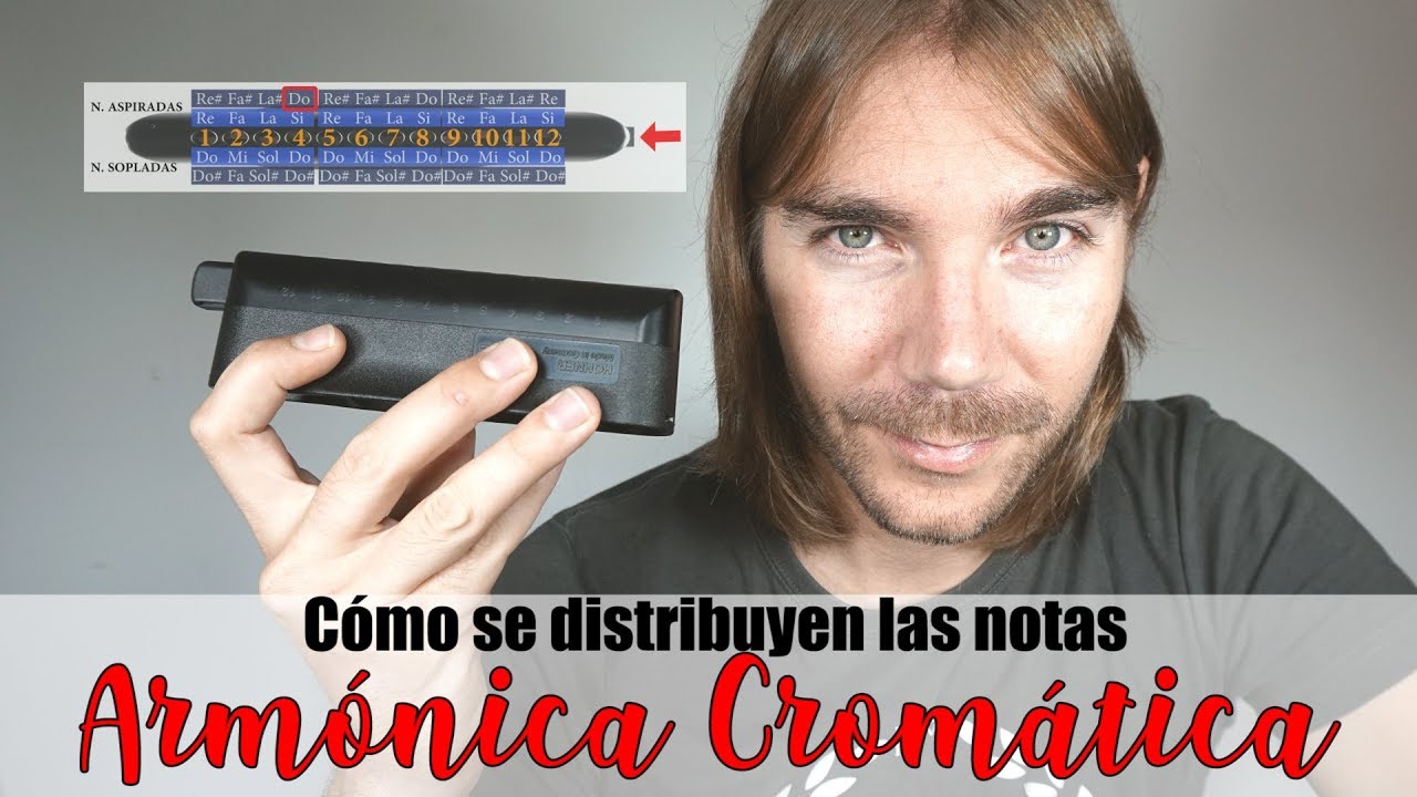 ARM&Oacute;NICA CROM&Aacute;TICA 👨🏻&zwj;🎓 &iquest;C&oacute;mo se distribuyen las notas? ⌨️ TUTORIAL ONLINE