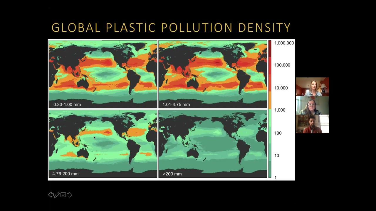 Friends from the Field: Microplastic Pollution in Aquatic Environments