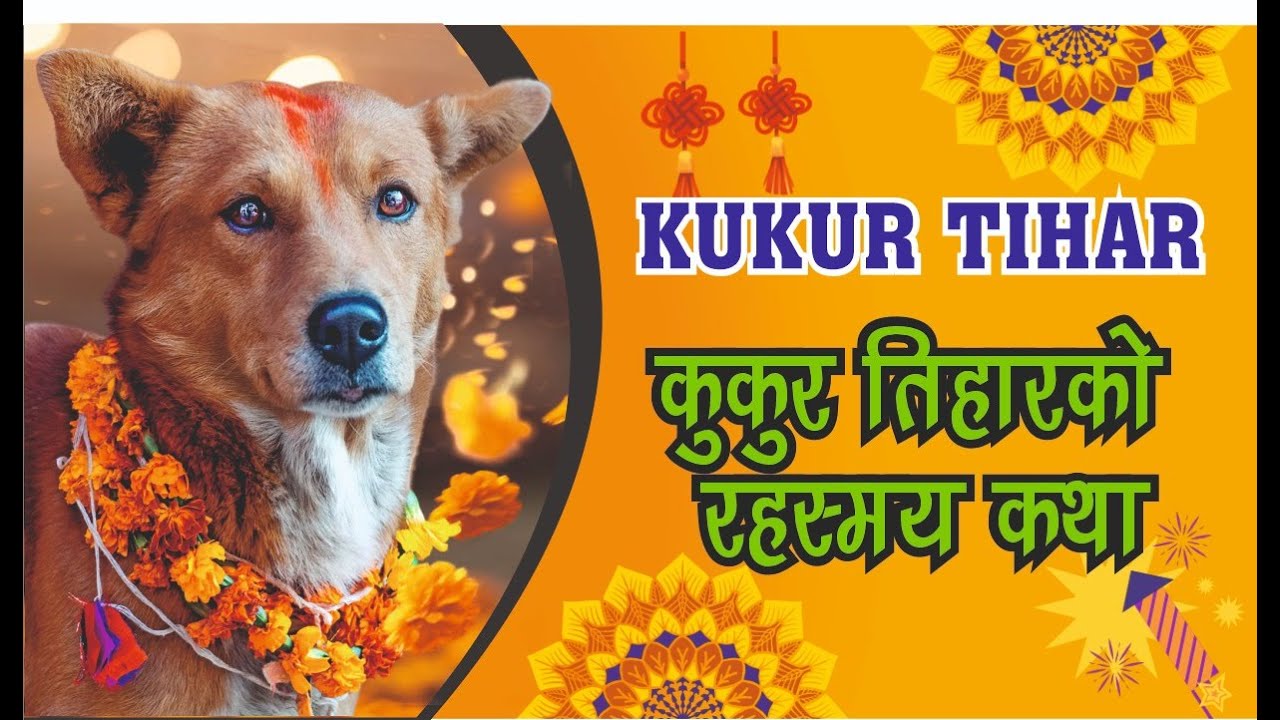 kukur tihar 🪔✨ Why Do We Worship Dogs? The Mysterious Story of Kukur Tihar