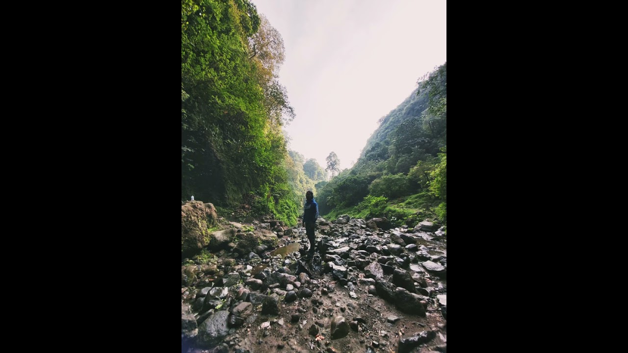 Bikin burung terhipnotis,,Suara pikat burung kecil dan besar kombinasi,😎😎