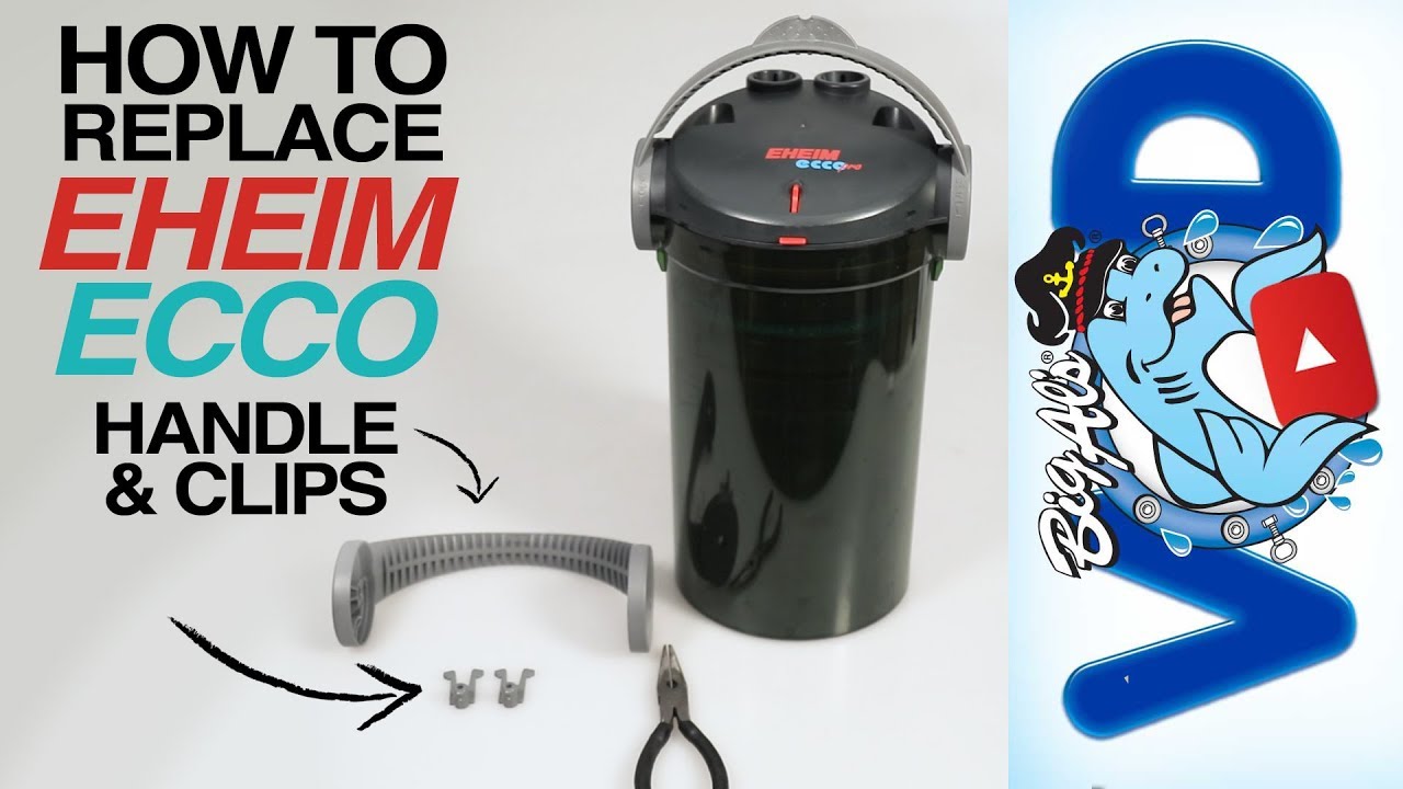 How To Replace Your Eheim Ecco Handle & Clips | BigAlsPets.com
