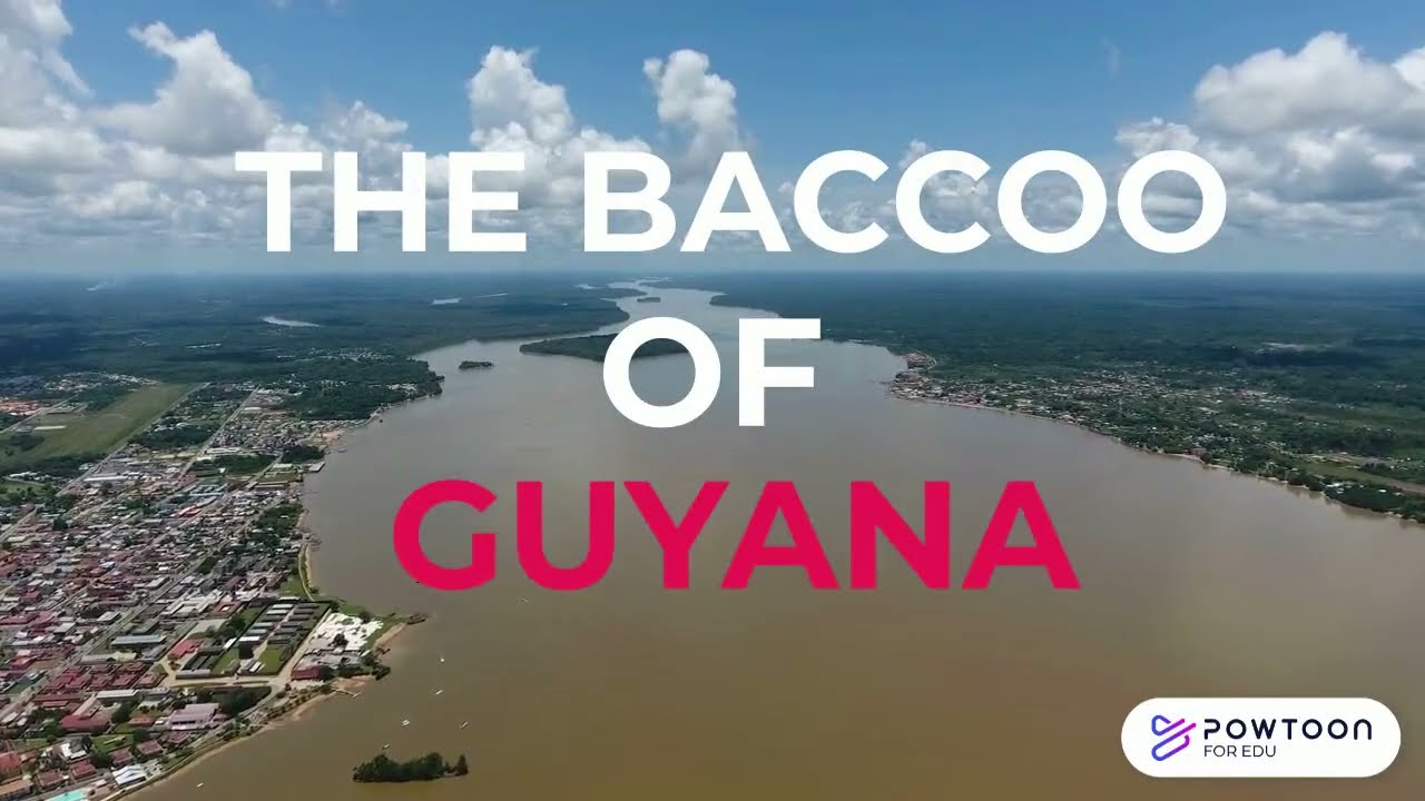 The Baccoo of South America