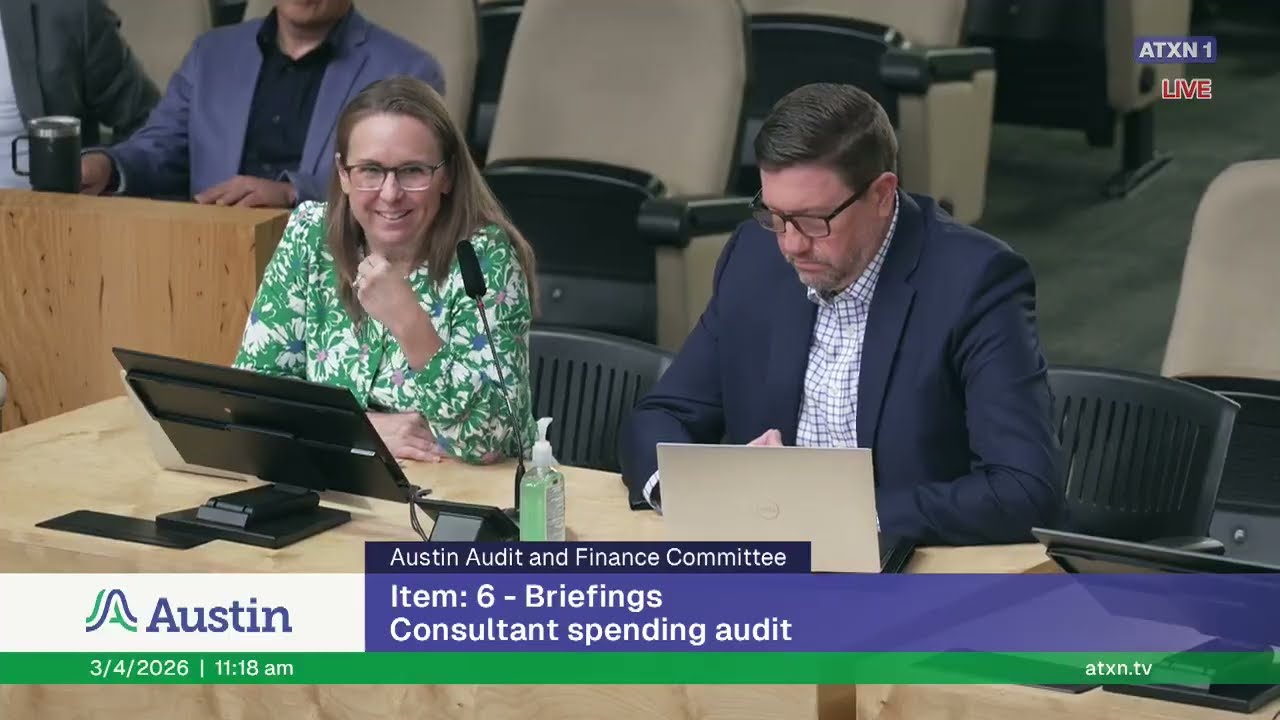 20260304audit finance consultant spending audit