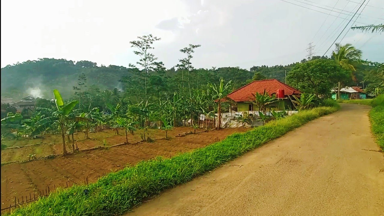 Gunung Peteuy Bogor suasana pedesaan indah di atas pegunungan