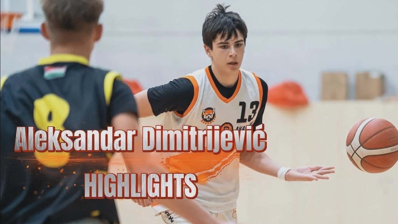 Aleksandar Dimitrijević - Serbian basketball player - Highlights