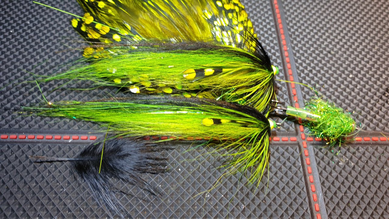 Black & Green Fly
