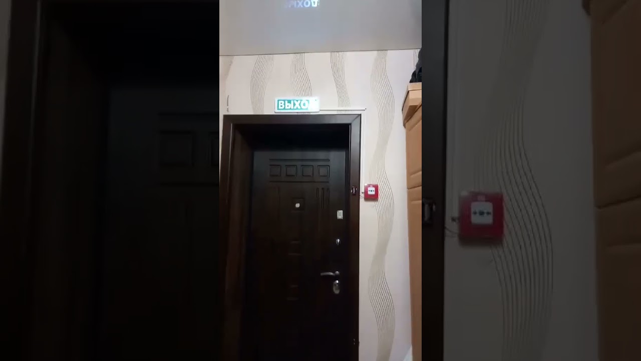 21 ноября 2025 г.