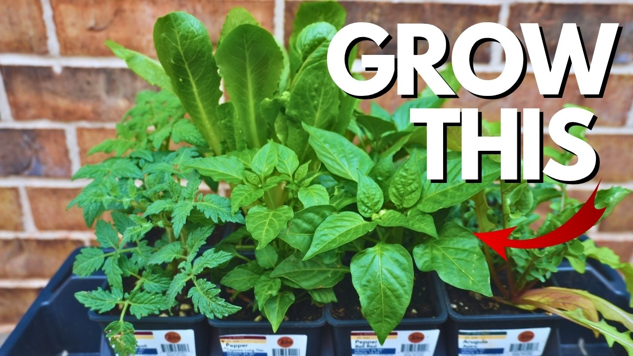 Spring Vegetable Garden 2026: Planting Containers & Raised Beds!