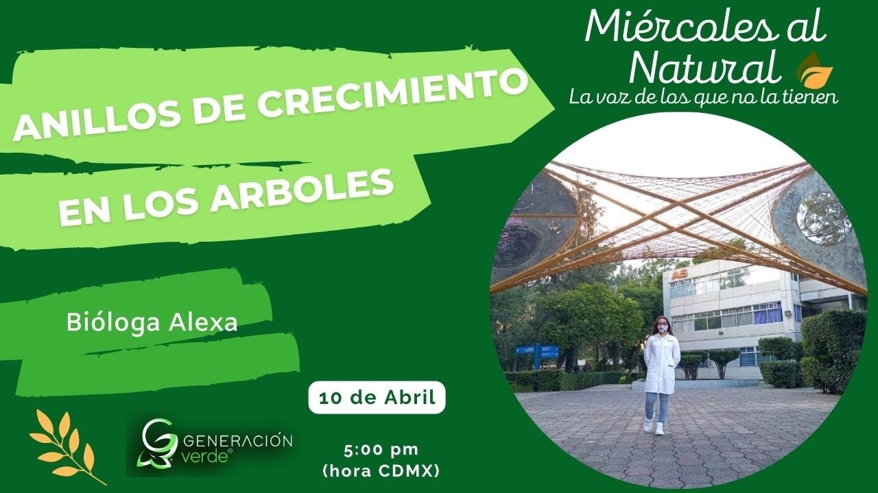 Anillos de crecimiento en los árboles.