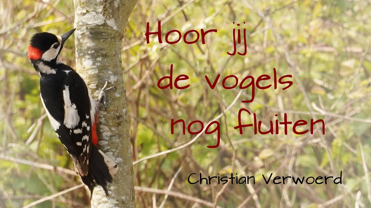 Hoor jij de vogels nog fluiten - Christian Verwoerd (Piano improvisatie)