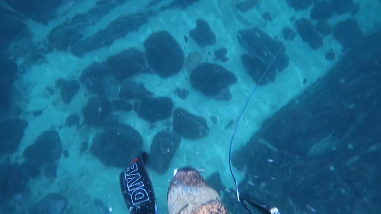 Spearfishing Scotland - Epic visibility