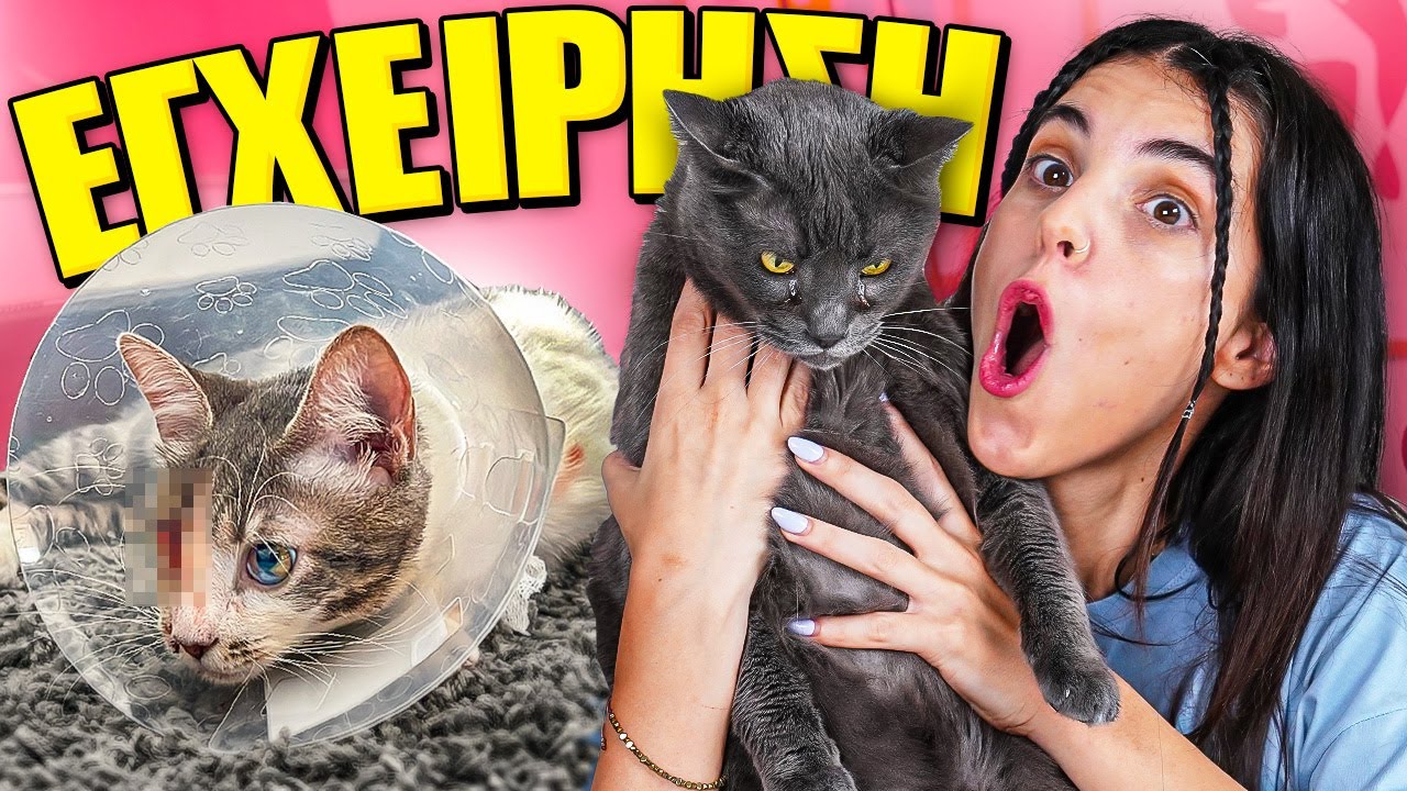 ΟΛΗ Η ΙΣΤΟΡΙΑ ΤΗΣ 2ης ΥΙΟΘΕΣΙΑΣ- ΓΑΤΟΝΤΟΚΙΜΑΝΤΕΡ !!!