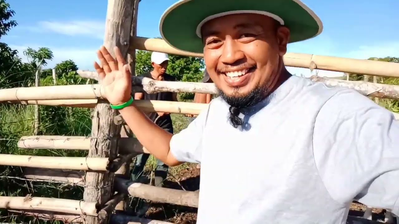 Pag-aalaga Ng Baka [| Update Sa Batang Baka Na Ayaw Padedein Ng Ina.