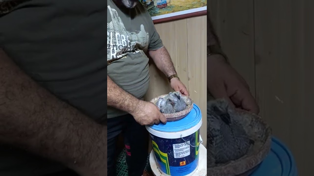 ١٢ يونيو ٢٠٢٢