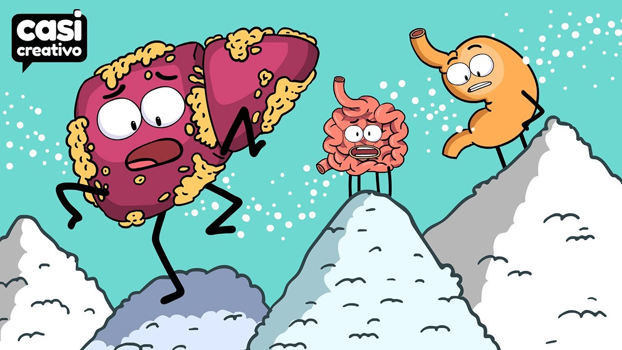 Tus Órganos Cuando Comes Mucho Azúcar | Casi Creativo