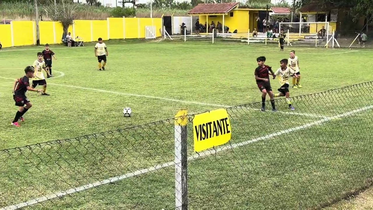 DSL vs Adafi PT