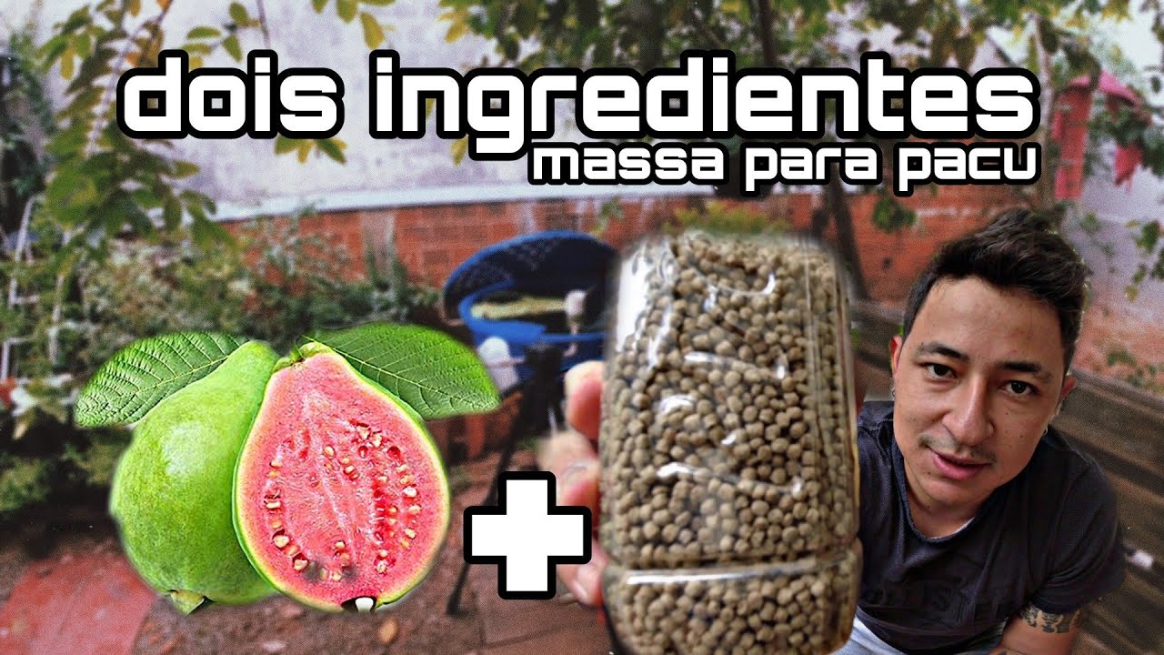 Massa de Goiaba para pescar PACU apenas dois ingredientes e...