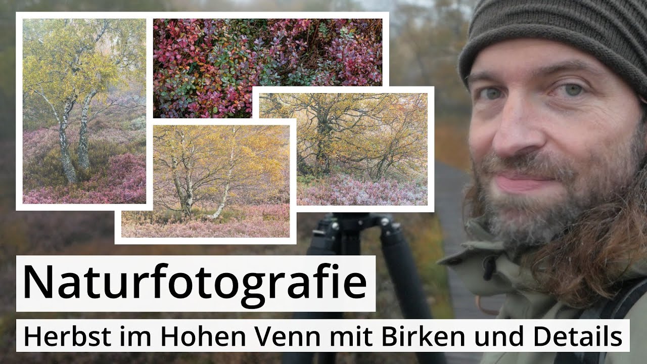 Naturfotografie: Ein bunter HERBSTTAG im HOHEN VENN | Herbstfarben, Birken, Details und ein Pilz