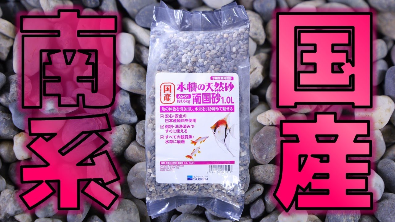 【砂利】ついに硬度を上げない丸く粉っぽくない低床を見つけました。投げ込み式フィルターの中に入っていそう。水作 国産水槽の天然砂 南国砂【ふぶきテトラ】