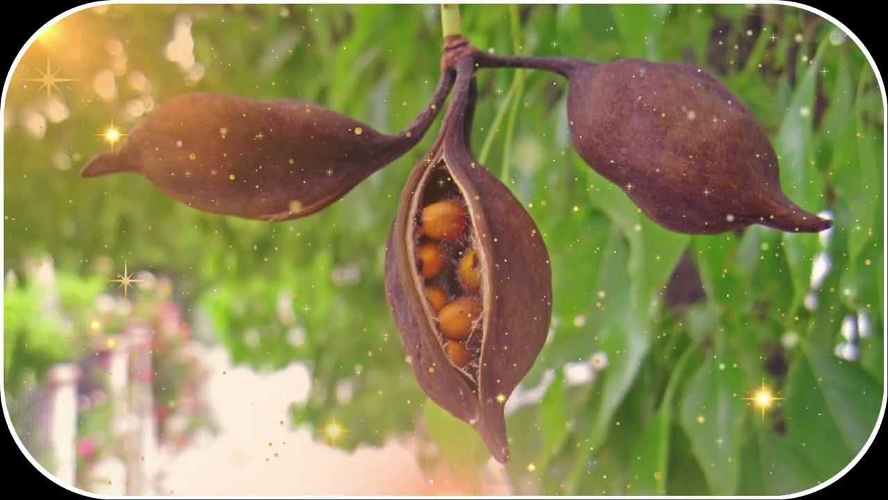 Одна вещь, которую делает каждая женщина, когда чувствует к вам сильное влечение | Стоицизм