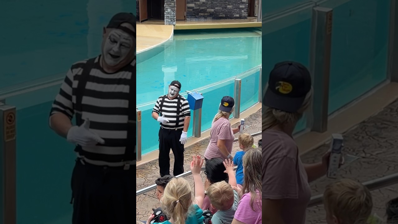 Pozostawiła go bez słowa 😶😂 Tom mime Seaworld #seaworldmime #komedia #kr&oacute;tkie metraże