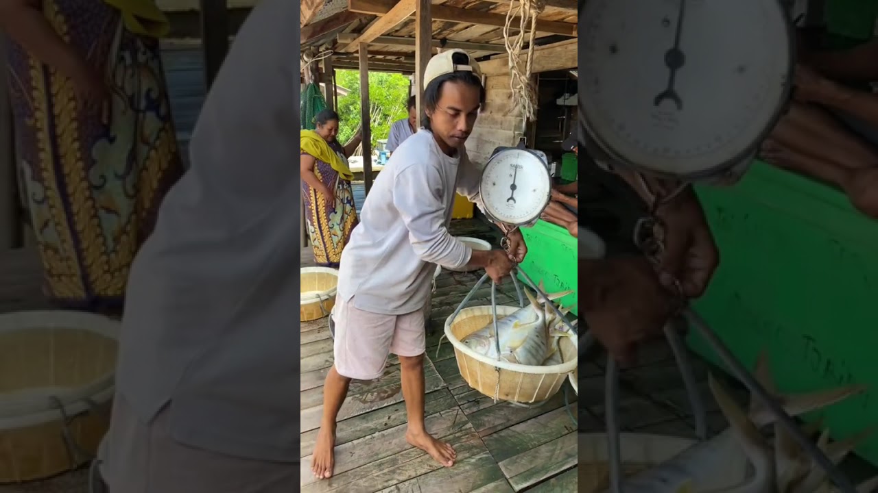 Rezeki Laut! Pektam Jual Ikan Pengali dan Laku Keras di Pasar