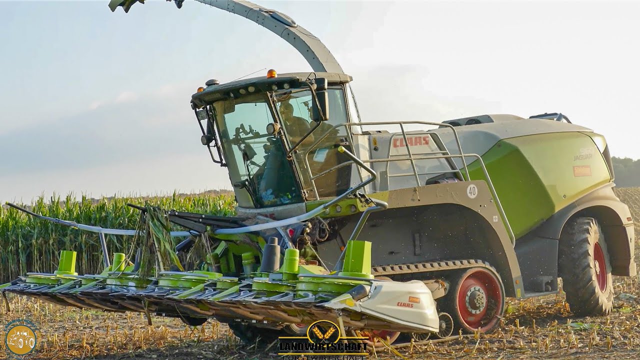 Claas Jaguar 960 TT & 630 Ha Mais! auch @Landwirtinmv hatte Richtig viel zu tun Maisernte 2021