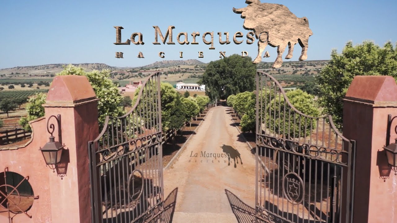 Hacienda La Marquesa (Jaen) - video corporativo