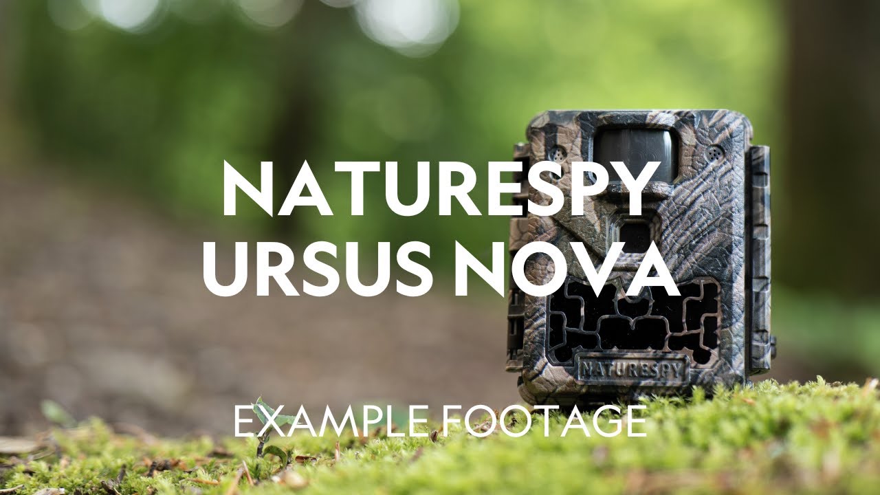 Example Footage | NatureSpy Ursus Nova Trail Camera