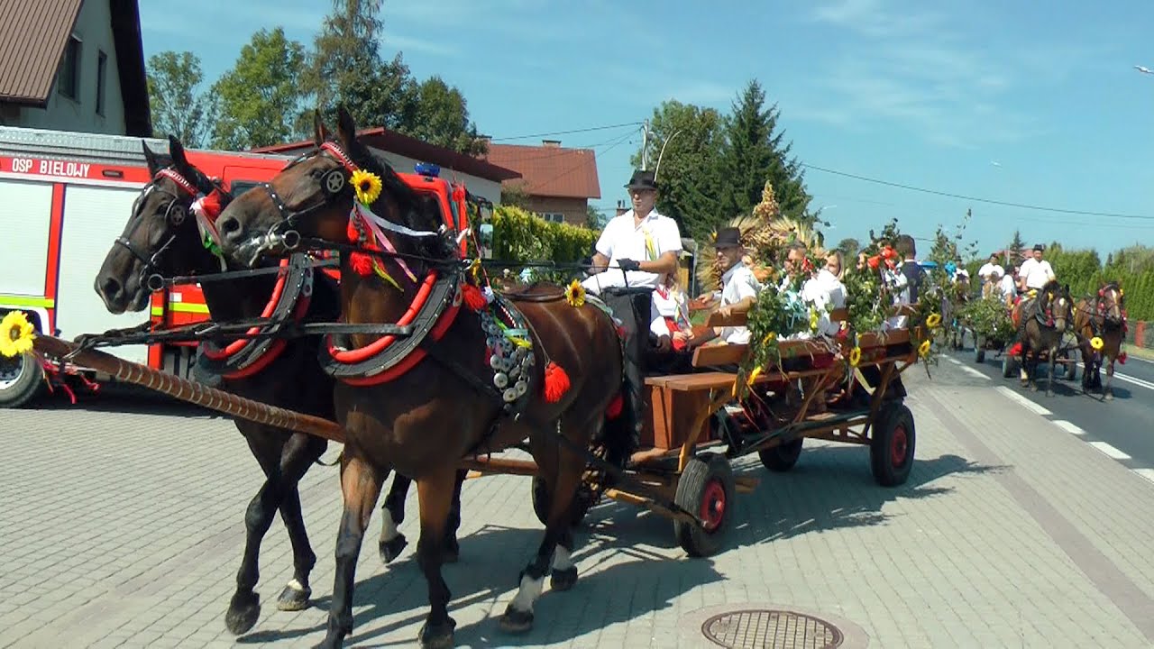 Dożynki Powiatu Dębickiego - Strzegocice - 24.08.2024 r. - cz.1