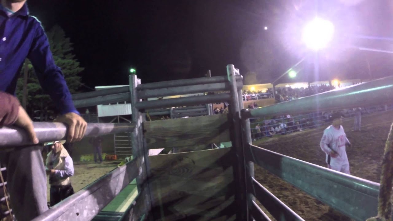 Gopro bull riding