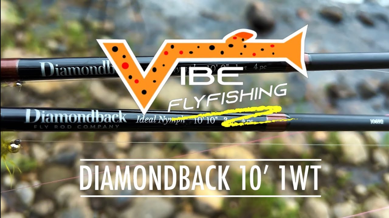 DIAMONDBACK FLY ROD REVIEW PART 1: FIRST RESULTS